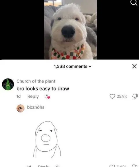 Bro Looks Easy to Draw