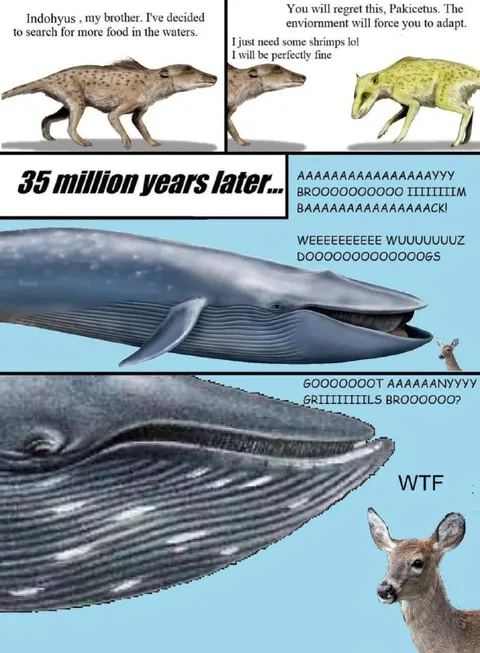 Whale Evolution Gone Wrong