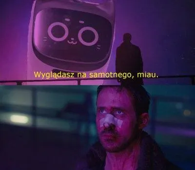 Wyglądasz na samotnego, miau