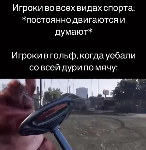 Орангутан за рулём в GTA