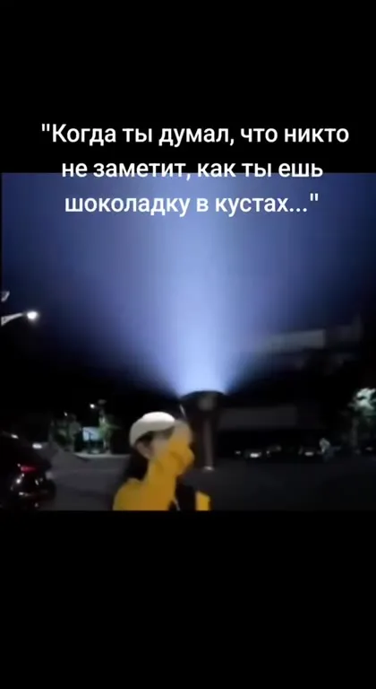 Когда заметили шоколадку в кустах