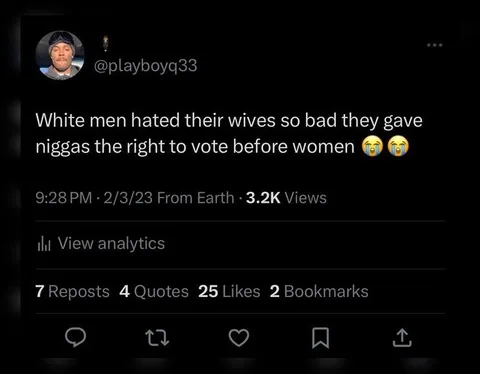 Voting Rights Before Women