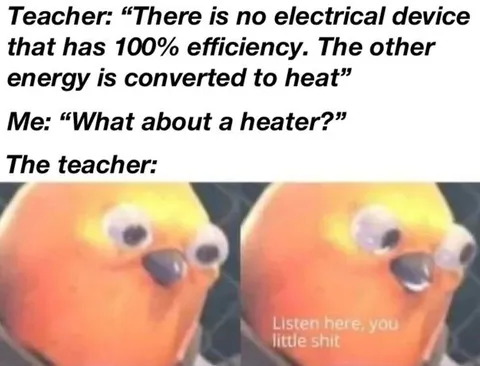 Teacher Explains Heater Efficiency