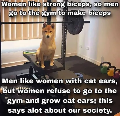 Dog Builds Biceps at the Gym