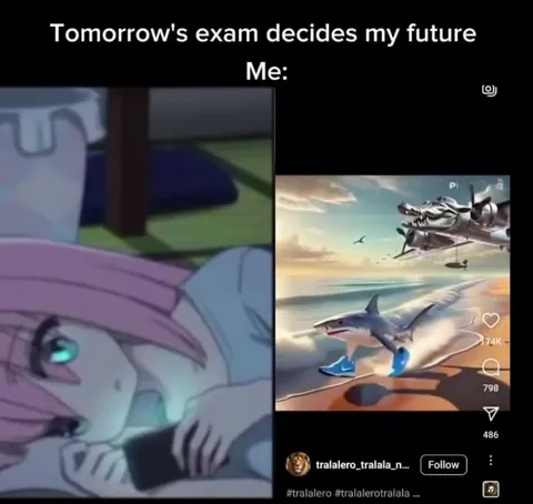 Tomorrow's Exam Versus Brainrot