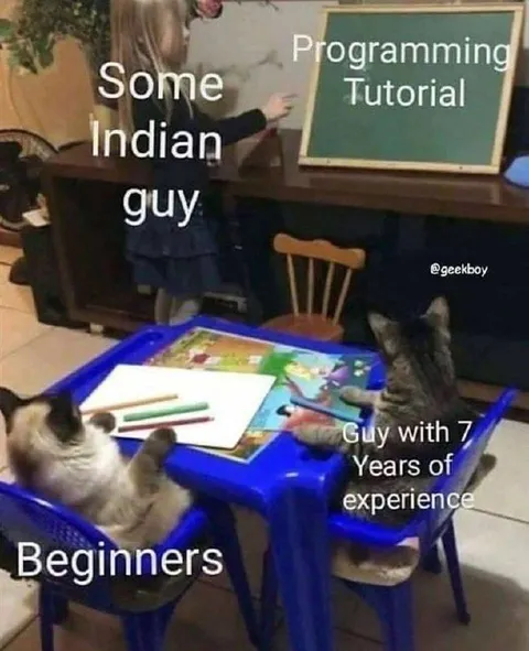 Programming Tutorial Cats