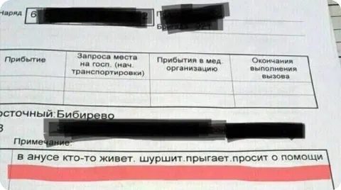 Кто-то живёт в анусе