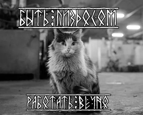 Выгляжу пиздецом, работать вечно