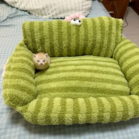 Котёнок в кресле