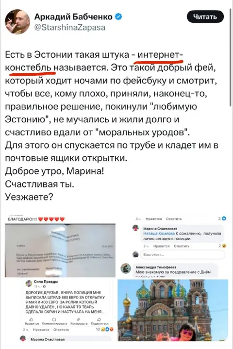 Интернет-констебль в Эстонии