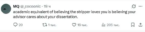 Academic Dissertation Delusion