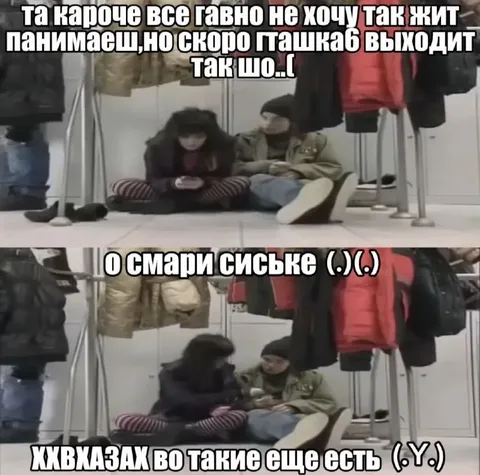 Пташкаб скоро выходит