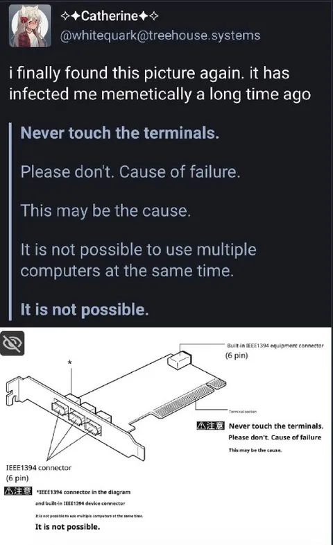 Never Touch the Terminals