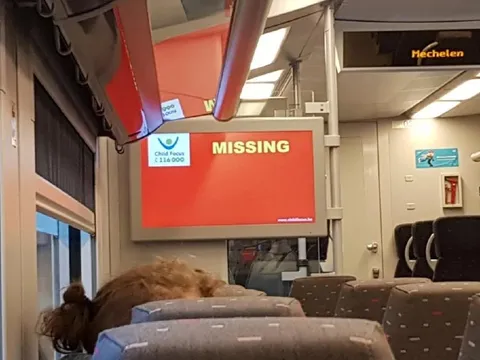 Missing on the Train