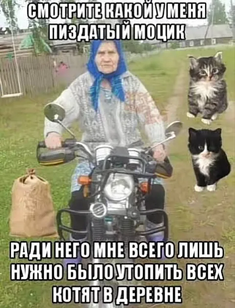 Пиздатый моцик и котята