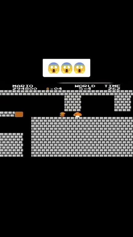 Mario Reaches the Impossible Castle