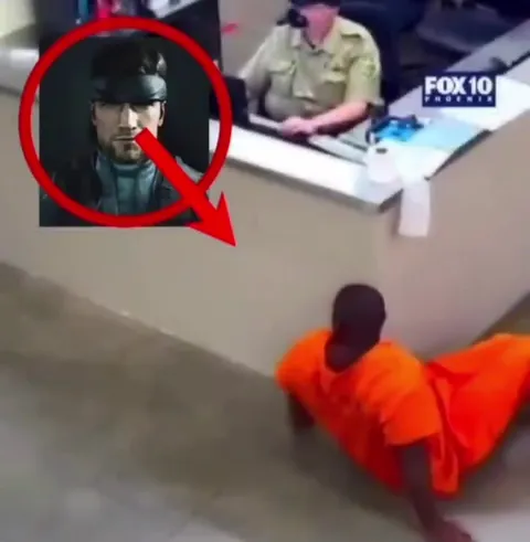 Invisible Snake Escapes the Counter