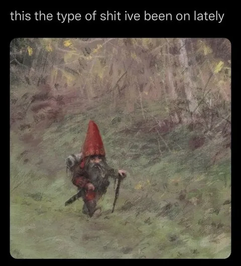 Gnome Wandering Through the Woods