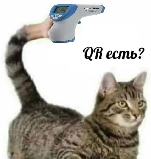 QR есть?