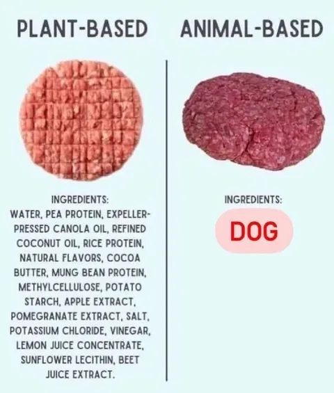 Plant-Based Versus Animal-Based Burger