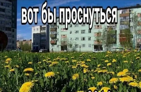 Вот бы проснуться летом