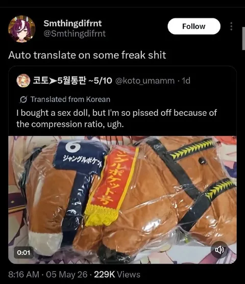Auto-Translated Sex Doll Complaint