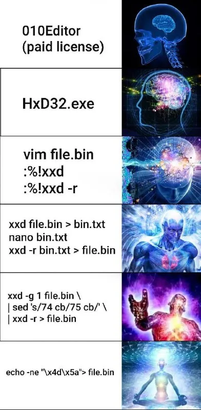 The Ultimate Hex Editing Method