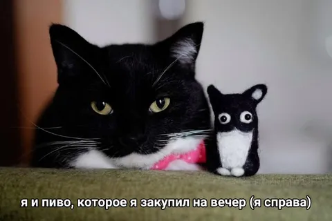 Я и пиво на вечер