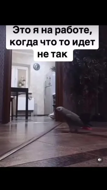 Когда на работе всё не так