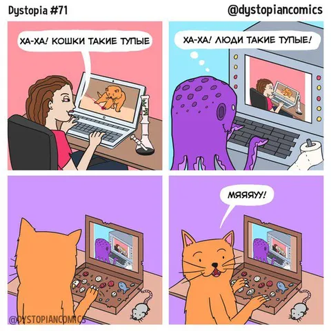 Кошки и люди такие тупые