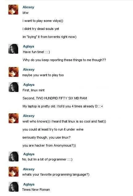 Times New Roman Programmer Joke