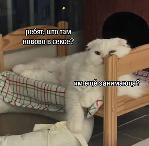 Что нового в сексе