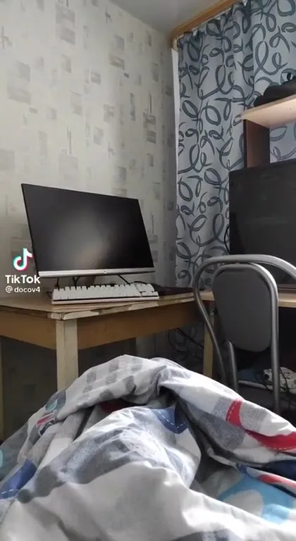 Пёс прячется под одеялом