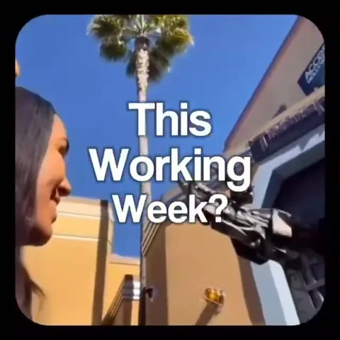 This Working Week Megatron Crashing Out