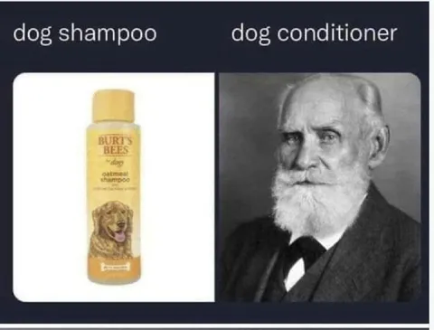 Dog Shampoo, Pavlov Conditioner