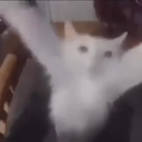 He Can Dink It