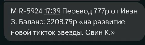 Перевод на развитие тикток-звезды