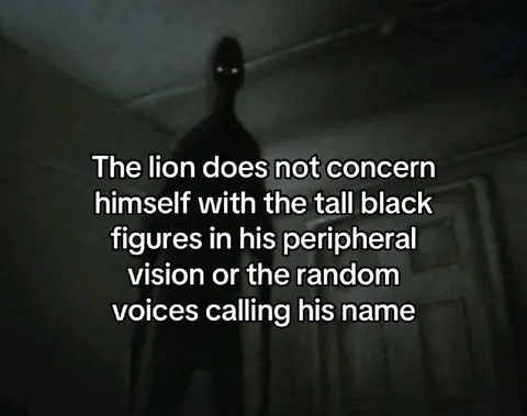 Lion Ignores Shadow Figures