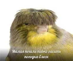Малая пошла пивко гасить