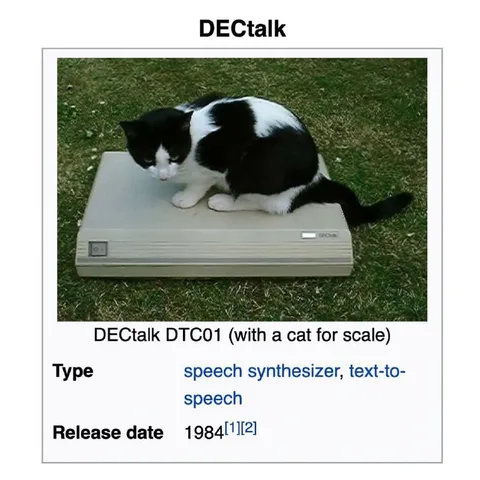 DECTalk Cat for Scale