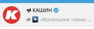 Кашин о маленьких членах