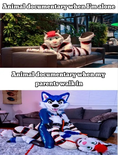 Animal Documentary When Parents Walk In