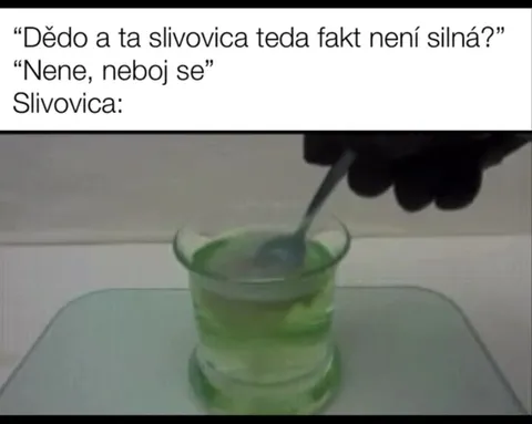 Slivovice rozhodně není slabá