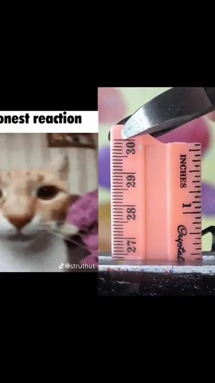 Honest Reaction to Breaking the Ruler