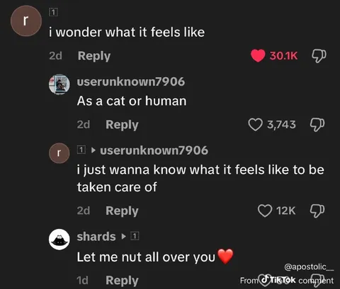 Let Me Nut All Over You
