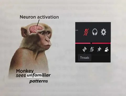Monkey Sees Unfamiliar Patterns