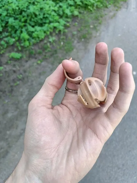 Живой Бакуган на ладони