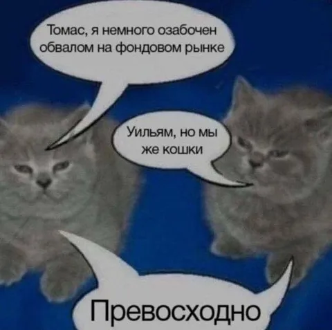 Кошки обсуждают обвал рынка