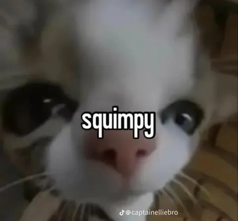 Squimpy Cat Close-Up