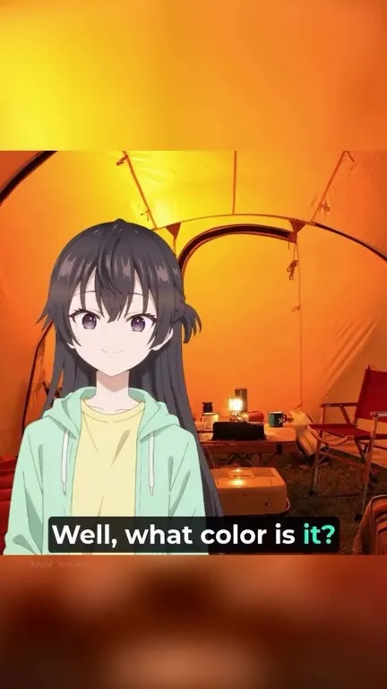 What Color Is the Bear?